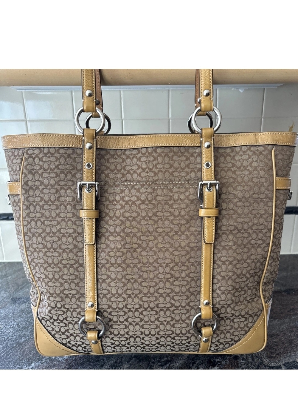 Coach Signature Canvas Tote in Tan and Beige